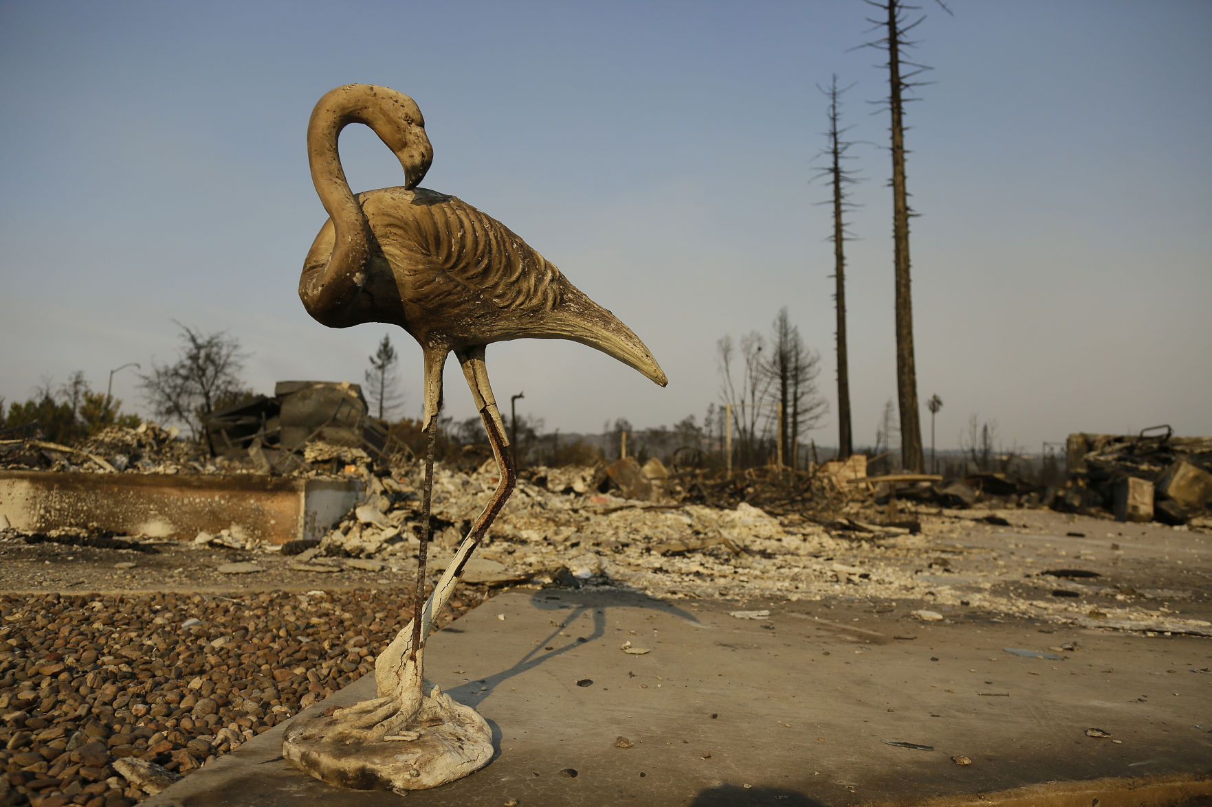 California Wildfires